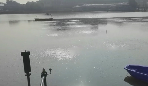 水蜜桃成人网站沉水水蜜桃视频污在线观看杭州蕭山區某河道生態治理