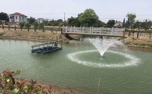 活躍池水，保護水質！選購曝氣水蜜桃视频污在线观看必看！